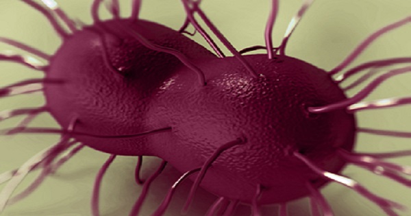 A new mutant “super gonorrhea” is spreading through oral sex!