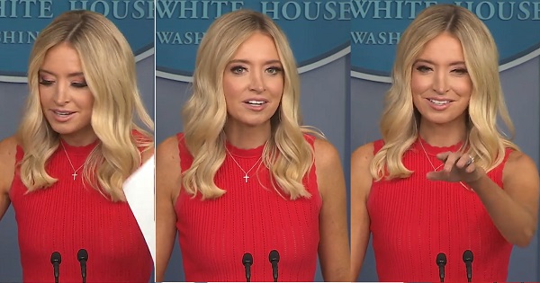 Press Secretary Kayleigh McEnany holds White House briefing 6/10/2020