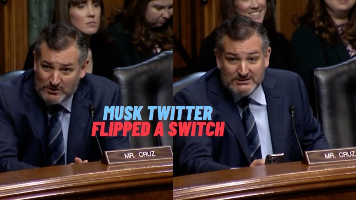 Cruz: obvious someone flipped a switch, rational explanation from 1K to 70K after Musk twitter buy