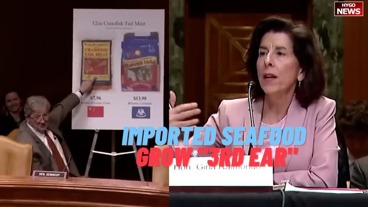 Kennedy to Raimondo on imported seafood & crawfish, antibiotics to grow “3rd ear”