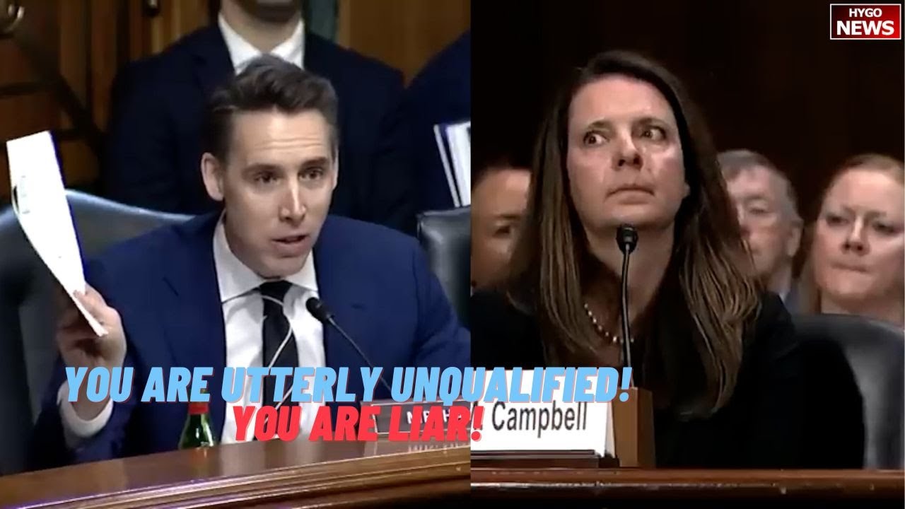 Hawley To Biden Nominee: You are utterly unqualified! Either all these people are liars or you are!