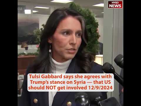 Tulsi Gabbard on Syria: US NOT get involved; Sen Mullin: Gabbard 100% qualified; Fake News Narrative